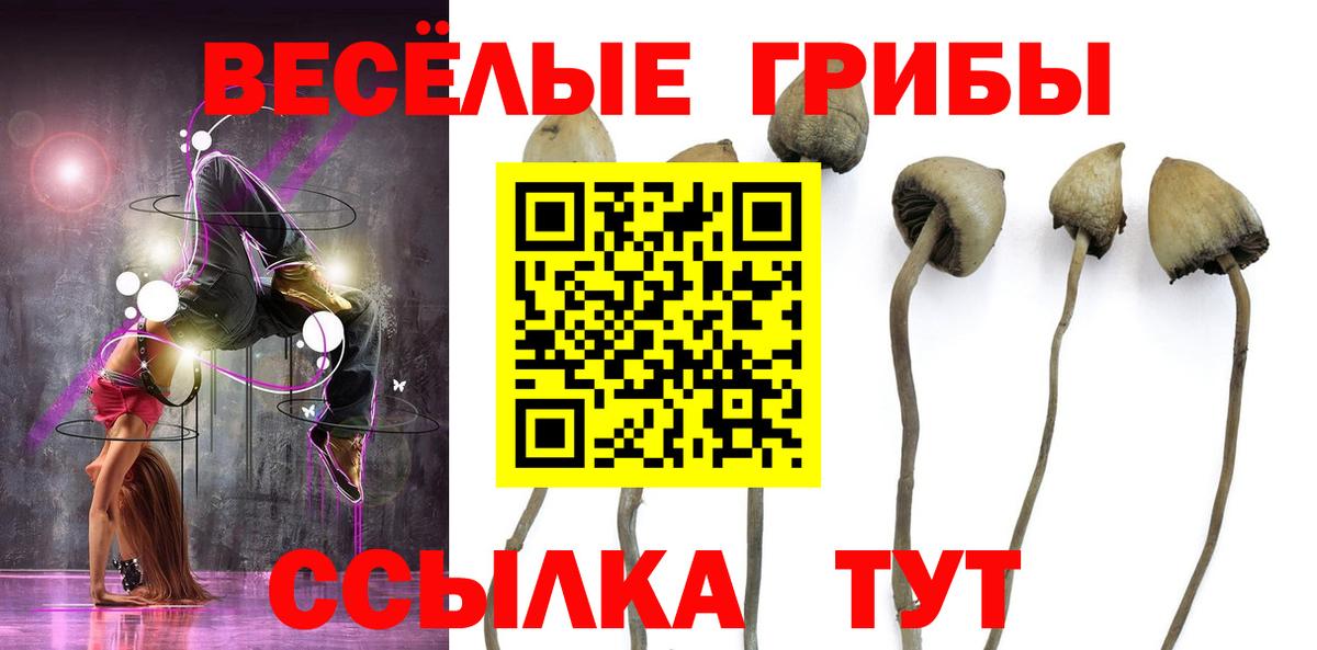 Галлюциногенные грибы Psilocybe  Вход с VPN  Рузаевка 